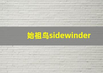 始祖鸟sidewinder