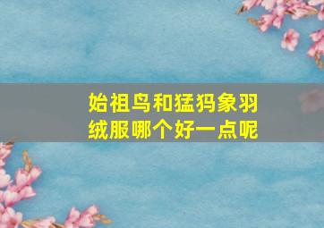 始祖鸟和猛犸象羽绒服哪个好一点呢