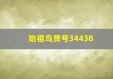 始祖鸟货号34438