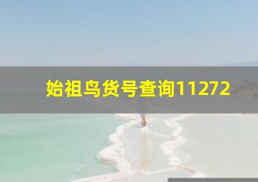 始祖鸟货号查询11272