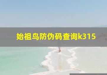 始祖鸟防伪码查询k315