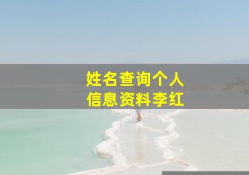 姓名查询个人信息资料李红