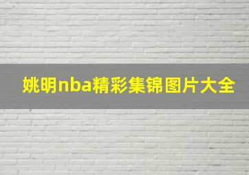 姚明nba精彩集锦图片大全