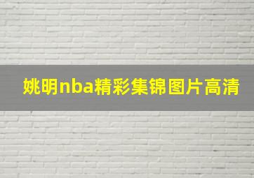 姚明nba精彩集锦图片高清