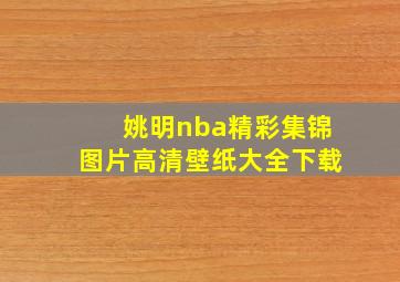 姚明nba精彩集锦图片高清壁纸大全下载