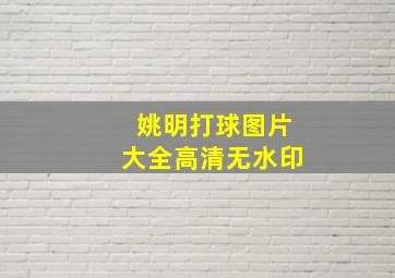 姚明打球图片大全高清无水印