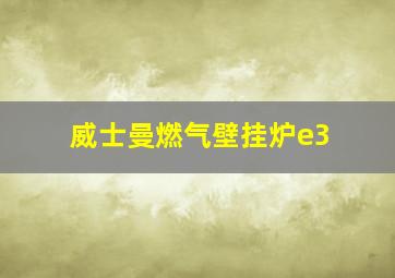 威士曼燃气壁挂炉e3