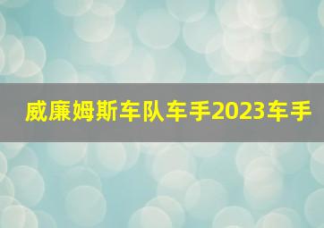 威廉姆斯车队车手2023车手