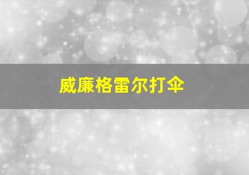 威廉格雷尔打伞