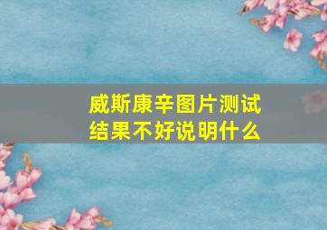 威斯康辛图片测试结果不好说明什么