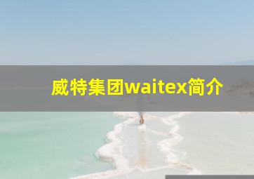 威特集团waitex简介