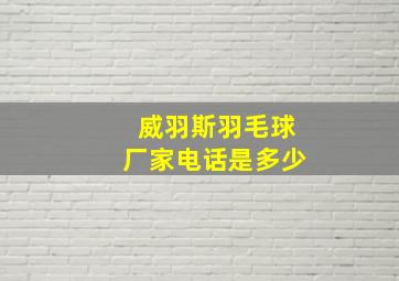 威羽斯羽毛球厂家电话是多少