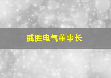 威胜电气董事长