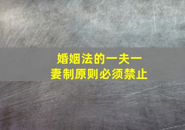 婚姻法的一夫一妻制原则必须禁止