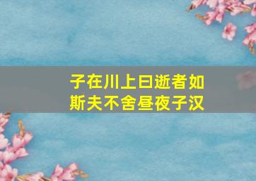 子在川上曰逝者如斯夫不舍昼夜子汉