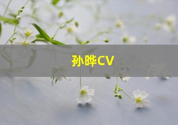 孙晔CV