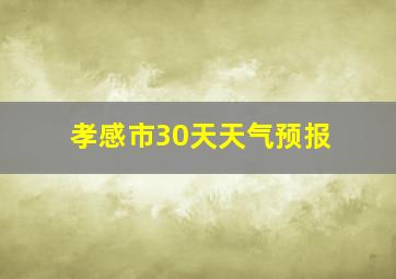 孝感市30天天气预报