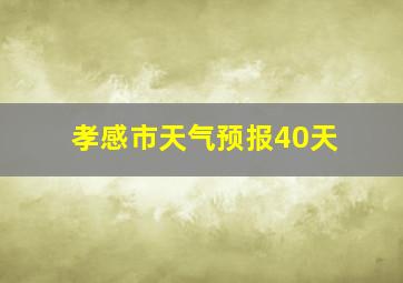 孝感市天气预报40天