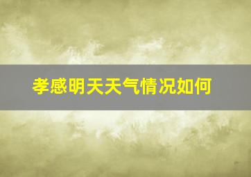 孝感明天天气情况如何