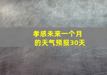 孝感未来一个月的天气预报30天