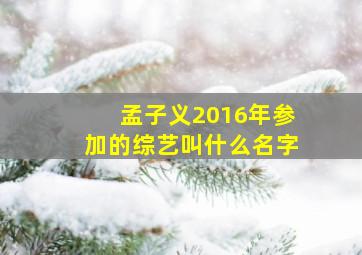 孟子义2016年参加的综艺叫什么名字