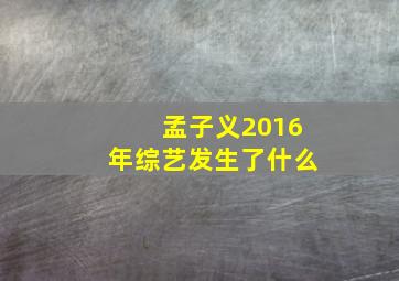 孟子义2016年综艺发生了什么