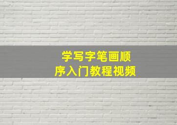 学写字笔画顺序入门教程视频