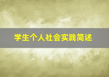 学生个人社会实践简述