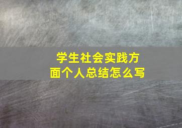 学生社会实践方面个人总结怎么写