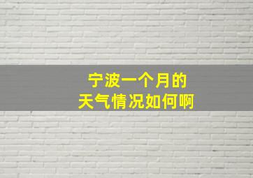 宁波一个月的天气情况如何啊