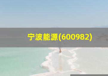 宁波能源(600982)