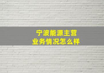 宁波能源主营业务情况怎么样