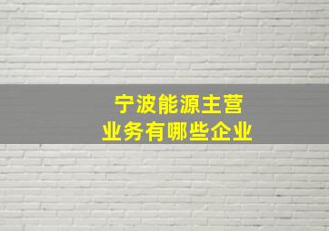 宁波能源主营业务有哪些企业