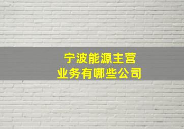 宁波能源主营业务有哪些公司