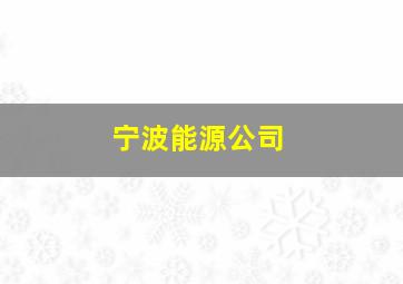 宁波能源公司