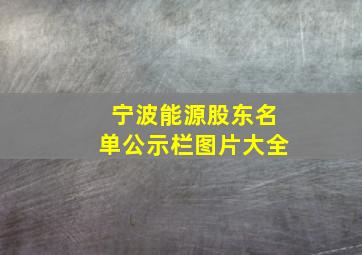 宁波能源股东名单公示栏图片大全