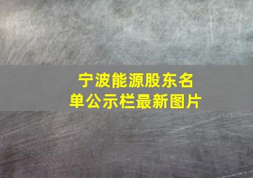 宁波能源股东名单公示栏最新图片