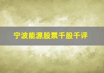 宁波能源股票千股千评