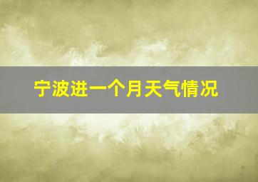 宁波进一个月天气情况