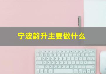 宁波韵升主要做什么