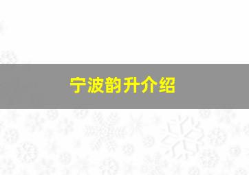 宁波韵升介绍