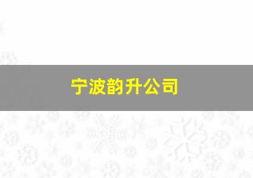 宁波韵升公司