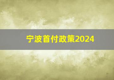 宁波首付政策2024