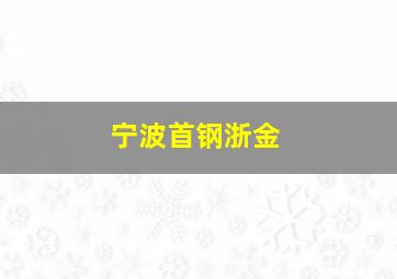 宁波首钢浙金