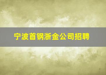 宁波首钢浙金公司招聘