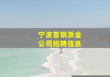 宁波首钢浙金公司招聘信息