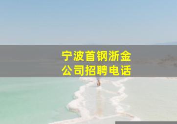 宁波首钢浙金公司招聘电话