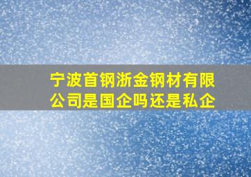 宁波首钢浙金钢材有限公司是国企吗还是私企