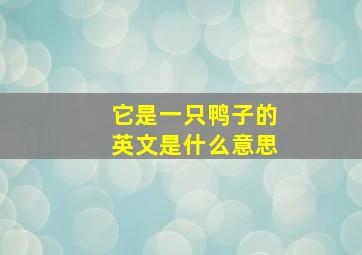 它是一只鸭子的英文是什么意思