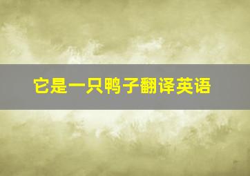 它是一只鸭子翻译英语